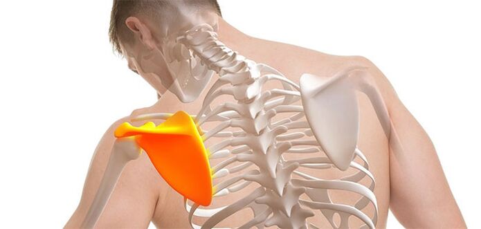 Back pain in the scapular area