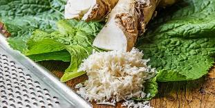 Integrated horseradish root for a healing compress